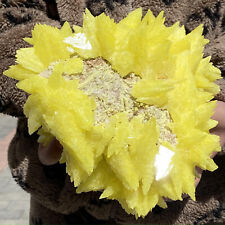 9.65LB Rare yellow sulfur crystal quartz crystal mineral specimen picture