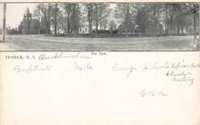 c1905 Park Church Panorama View Homer NY P488 picture