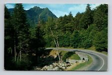 Vtg. 5.5 x 3.5 in. postcard, The Chimney Tops Great Smoky Mountains  unposted picture