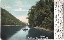 Elmira NY View Chemung River below Rorick's 1905  picture