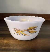 Vintage 1952-1966 Fire-King Custard Cups Ramekin Milkglass Golden Wheat #424 6oz picture