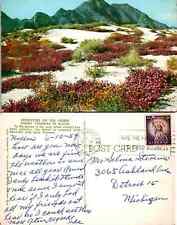 Vintage Postcard - California Mojave Desert CA Verbena Bloom Flower picture