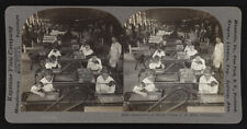 Inspection of silver coins, US Mint, Philadelphia c1900 Old Photo picture