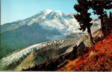 Vintage Postcard Mount Ranier & Nisqually Glacier WA  Washington           K-696 picture