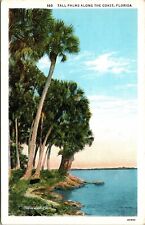 Tall Palms Along Coast Florida FL WB Postcard UNP VTG Curt Teich Unused Vintage picture