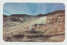 Terraces at Mammoth Hot Springs Yellow Stone National Park Chrome Postcard picture