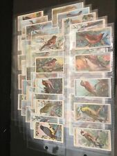 1917 Wills British Birds Set of 50 Cards In Plastic Sheets Sku1012S picture
