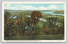 Postcard Bird's Eye View Of Susquehanna River And Selinsgrove Pennsylvania c1920 picture