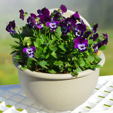 Wall Mount Planter Pot Lazy Flowerpot Indoor Plant Hanging Pot Self Watering Pot picture