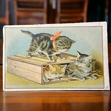 Antique Victorian Lion Coffee Trade Card, Adorable Kittens In A Box picture