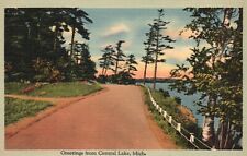Postcard MI Central Lake Greetings Waterside Roadway Linen Vintage PC J2025 picture