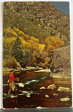 Vintage Postcard Fly Fisherman Nature Fishing The Pools Ephemera Petley Color  picture