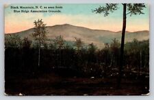 c1910 Black Mountain From Blue Ridge Association Grounds North Carolina P319A picture