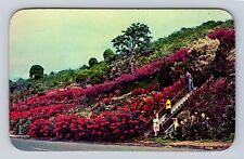 Kona HI-Hawaii, Kealakekua, Machado Gardens, Visitors, Vintage c1967 Postcard picture