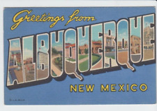 Postcard NM Albuquerque New Mexico Large Letter Greetings F35 picture