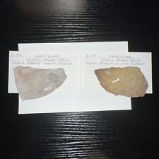 Set Of 2 Chert Blades Middle Archaic Period Marion Cty Florida Native American picture
