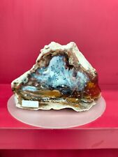 Rare special color petrified wood with picture polished 1471gr (18x11x8cm) picture