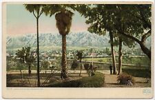 Snow and Palms Pasadena California 1920 Lithograph Posted Postcard picture
