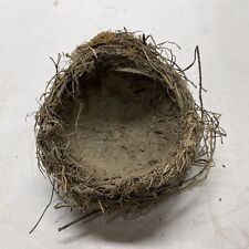 Real-life Bird Sparrow’s Nest made from grasses, twigs, moss and mud. picture