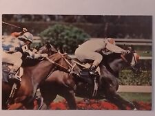 ThoroughBred Racing Calder Race Course Florida Miami Postcard Alamo Rental picture