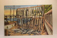 Postcard Two Hour Catch Of Kingfish Florida  FL I27 picture