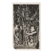 Vintage Snapshot Photo Two Dapper Men In Banana Bamboo Plant Lincoln Park L.A. picture