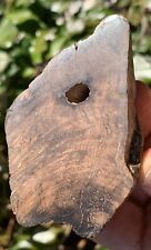☘️RR⚒: Polished Petrified Wood Burl/Limb, McDermitt Oregon, 9 Oz. picture