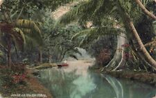 c1912 Rio Cobre Jamaica Copper River Boat Peaceful Jungle Scene Vintage Postcard picture