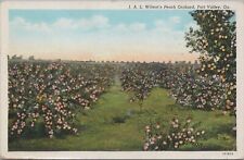 Postcard J.A.L. Wilson's Peach Orchard Fort Valley GA  picture