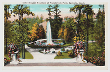 Geyser Fountain at Natatorium Park Spokane Washington WA  Postcard picture