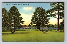 Rocky Mount NC-North Carolina, Scenic Views City Park, Antique Vintage Postcard picture
