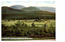 Postcard MOUNTAIN SCENE Randolph New Hampshire NH AS7568 picture