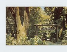 Postcard Entrance Muir Woods National Monument California USA picture