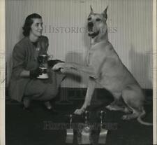 1951 Press Photo Animals Great Dane Dog - spa24549 picture