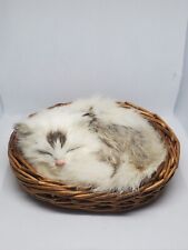 Vintage Realistic Kitten Sleeping In 4