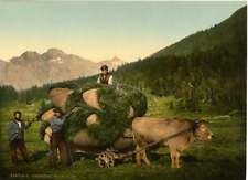 P.Z. Suisse, hay clock in the Engadine vintage print, Switzerland photochromy, vinta picture
