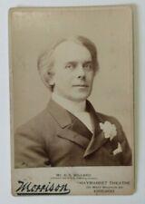 RARE 1893 E. S. Willard Actor Cabinet Card Photograph by W. M. Morrison Chicago picture