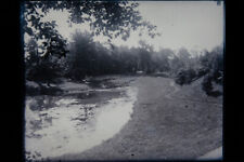 Antique 4x5 Inch Plate Glass Negative Of A Creek In A Park E15 picture