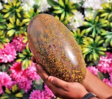 Huge 25 CM Fossil Coral Jasper Crystal Rock Healing Power Aura Chakra Lingam picture