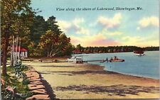 View Shore Lakewood Skowhegan Me Maine Tichnor Quality View Vintage Unp Postcard picture
