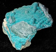 Smithsonite with Rosasite, Tsumeb Mine Namibia CHOICE picture