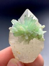 87 Cts Beautiful Green Tourmaline Crystal Bunch On Quartz Specimen Afghanistan picture
