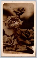 RPPC Postcard Loving Couple Man Women Masked Into Roses Unique Beautiful Floral picture