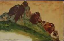 RARE EARLY FANTASY 1898 Killinger #128 Cat family protects sad Mountain Zurich picture
