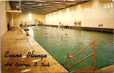Hot Springs SD South Dakota Evans Plunge Swimming Pool 1890 Vintage Postcard picture