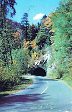 Approaching Lower Tunnel Great Smoky Mountains National Park Tennessee Postcard picture