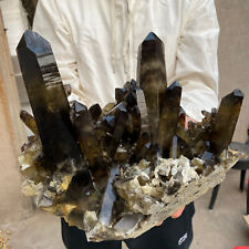 13.4lb Large Natural  Smoky Black Quartz Crystal Cluster Raw Mineral Specimen picture