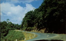 West Virginia Aurora Cheat Mountain curve Route 50 ~ postcard sku881 picture