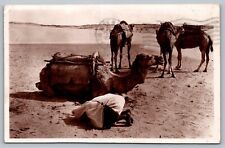 Postcard Prayer In The Desert Camel Arabic Egypt Real Photo RPPC  picture
