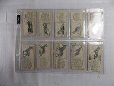 Typhoo Tea Cards Wild Animals 1955 Complete set 20 in Pages picture